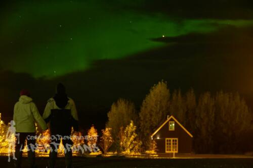 Aurora Borealis in Egilsstaðir, Iceland