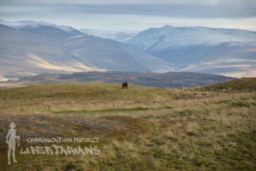 On the way to Akureyri