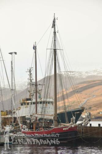 The Arktika ship, Ísafjörður, Iceland